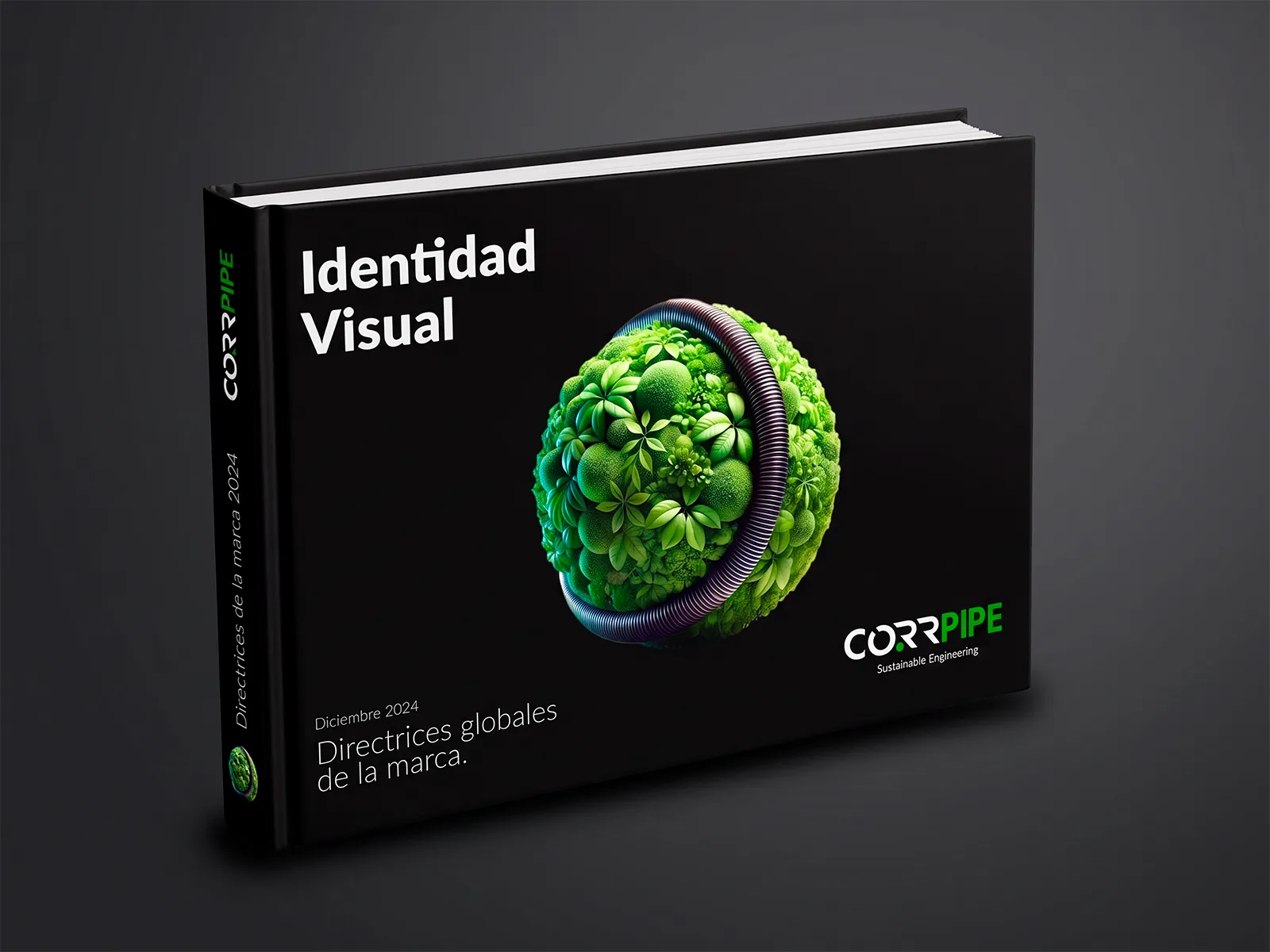 Corrpipe — Manual normativo y universo visual