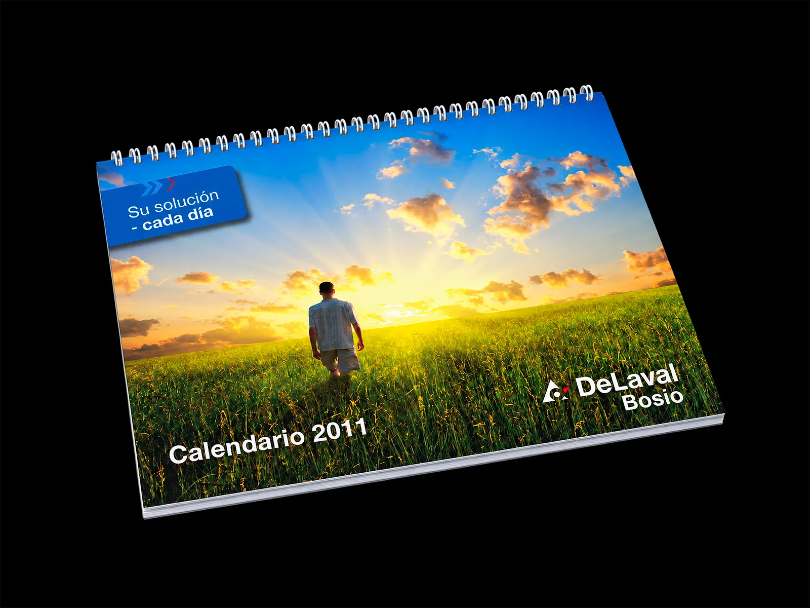 DeLaval — Diseño de calendario corporativo