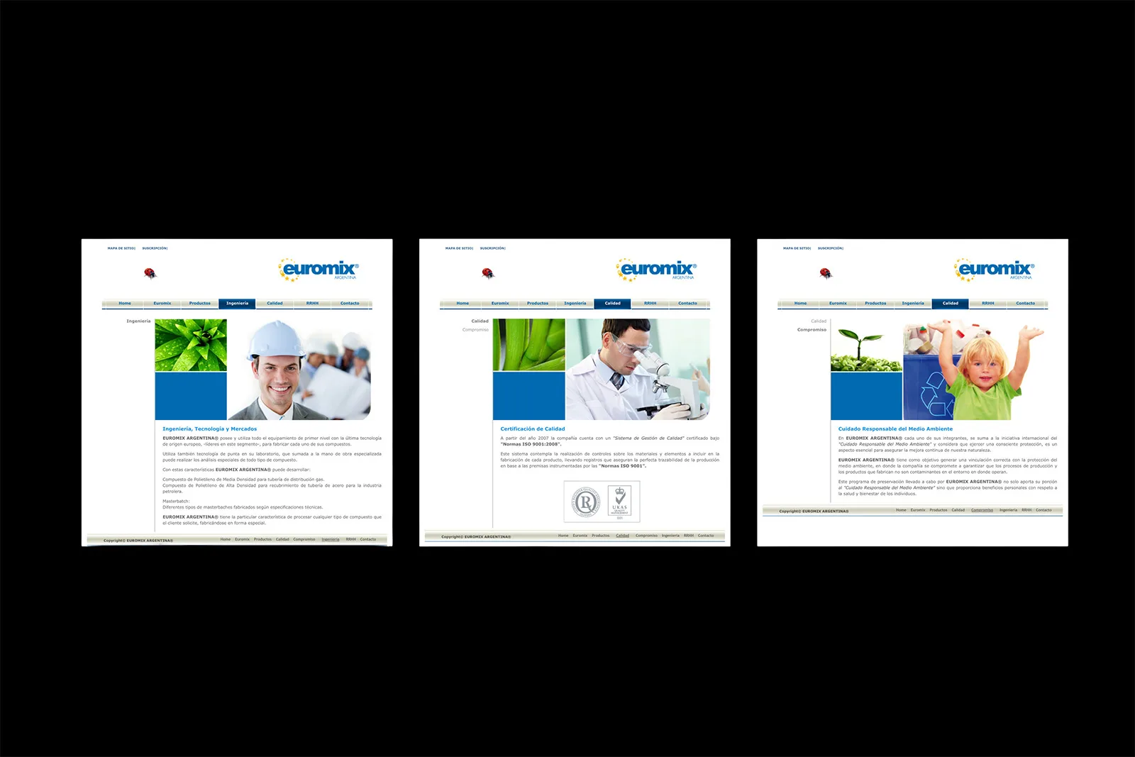 Euromix — Sitio web y brochure institucional, imagen 3